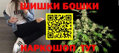 мдпв Славгород